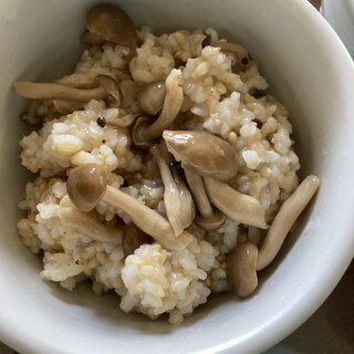 しめじと玄米の麺つゆ炊き込みご飯！